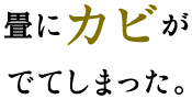 畳にカビ